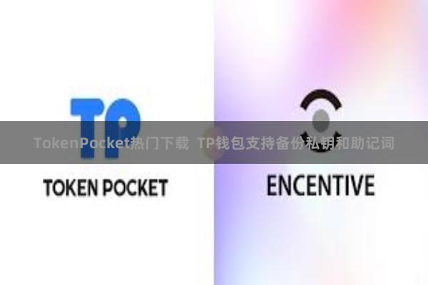 TokenPocket热门下载  TP钱包支持备份私钥和助记词